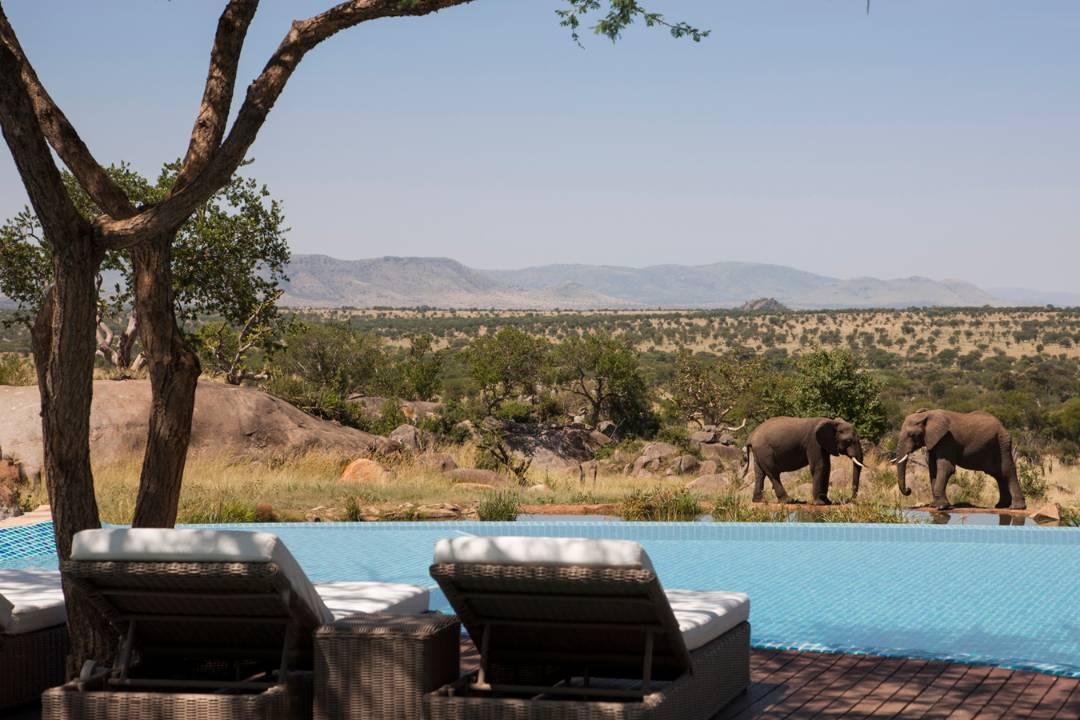 serengeti-national-park