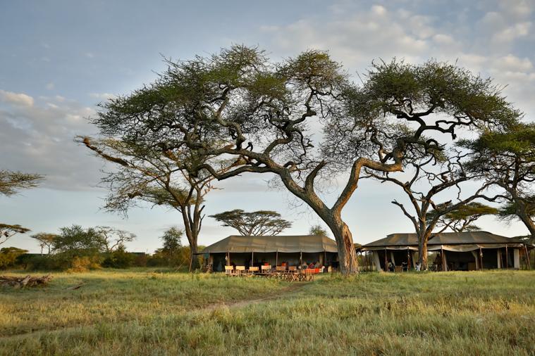 serengeti_park