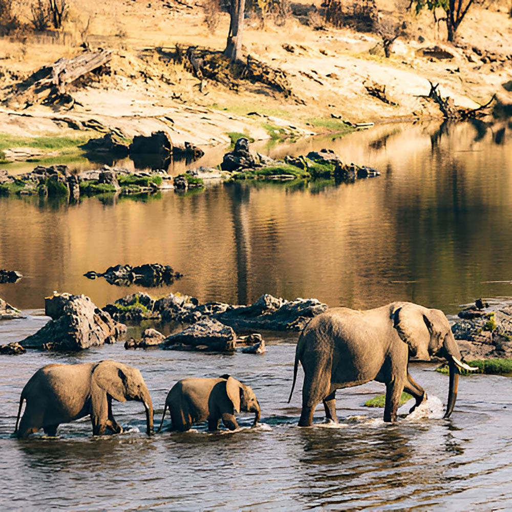 ruaha-national-park