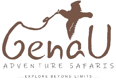 Genau Adventure