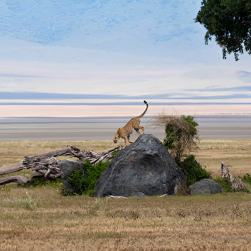 Ngorongoro_crater