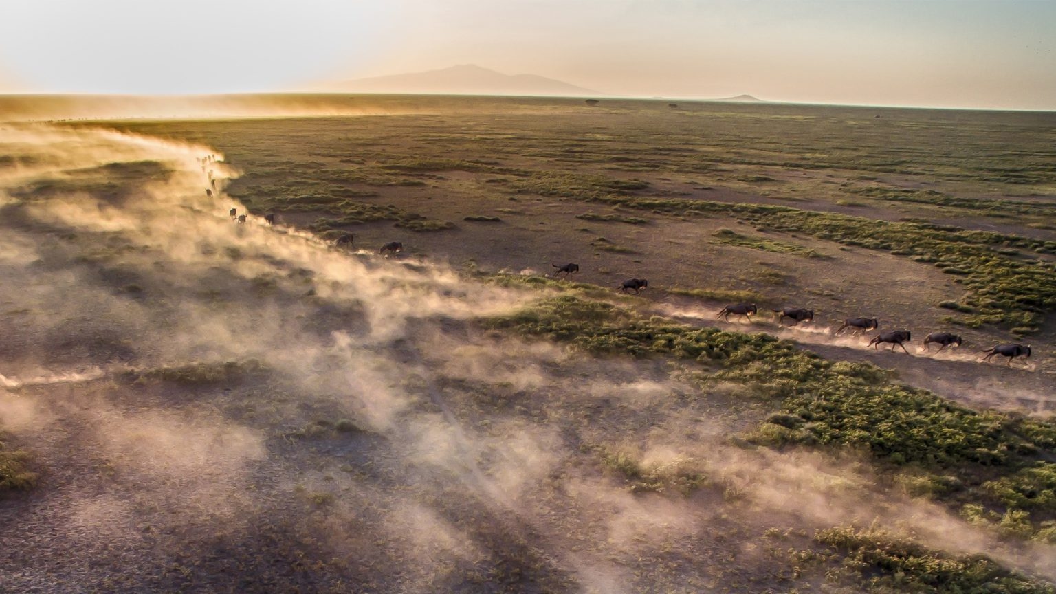 8 Days Serengeti Migration Mid range Safari